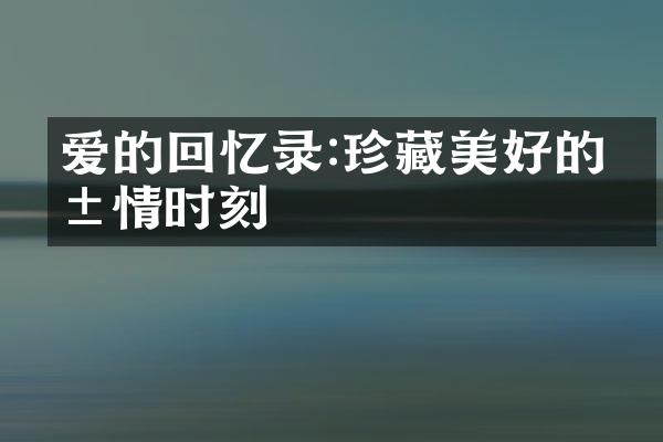爱的回忆录:珍藏美好的爱情时刻