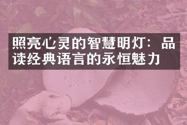 照亮心灵的智慧明灯：品读经典语言的永恒魅力