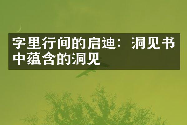 字里行间的启迪：洞见书中蕴含的洞见