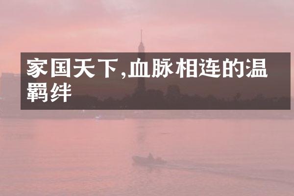 家国天下,血脉相连的温暖羁绊