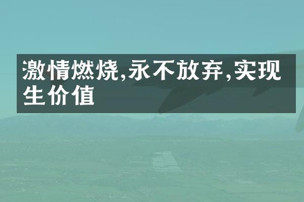 燃烧,永不放弃,实现人生价值