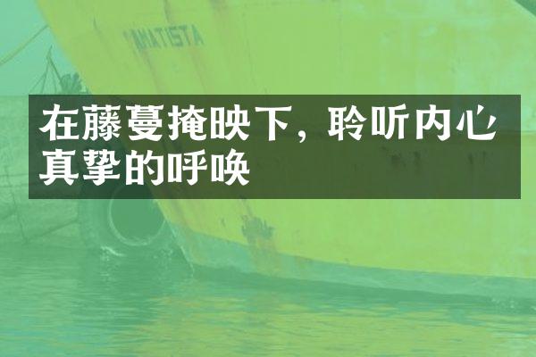 在藤蔓掩映下, 聆听内心最真挚的呼唤