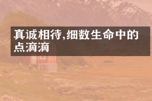 真诚相待,细数生命中的点点滴滴