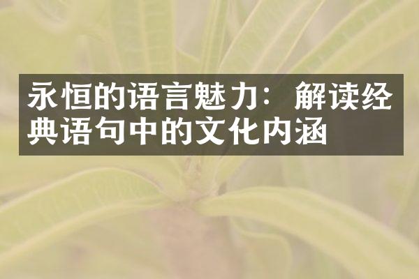 永恒的语言魅力：解读经典语句中的文化内涵