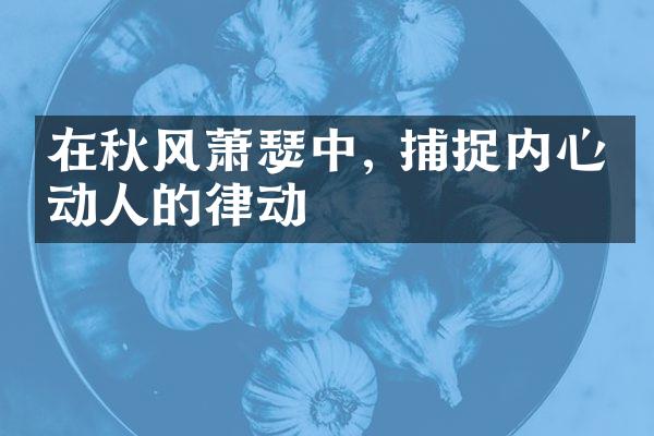 在秋风萧瑟中, 捕捉内心最动人的律动