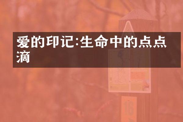 爱的印记:生命中的点点滴滴