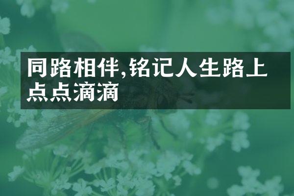 同路相伴,铭记人生路上的点点滴滴