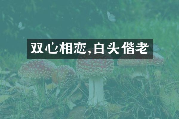 双心相恋,白头偕老
