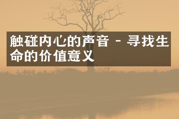 触碰内心的声音 - 寻找生命的价值意义