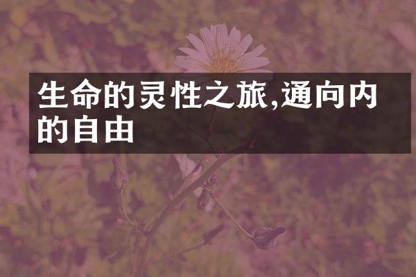 生命的灵性之旅,通向内心的自由