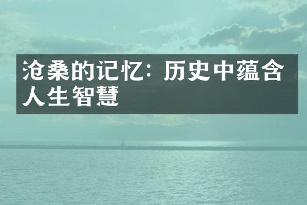 沧桑的记忆: 历史中蕴含的人生智慧