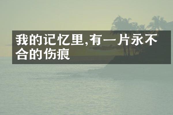 我的记忆里,有一片永不愈合的伤痕