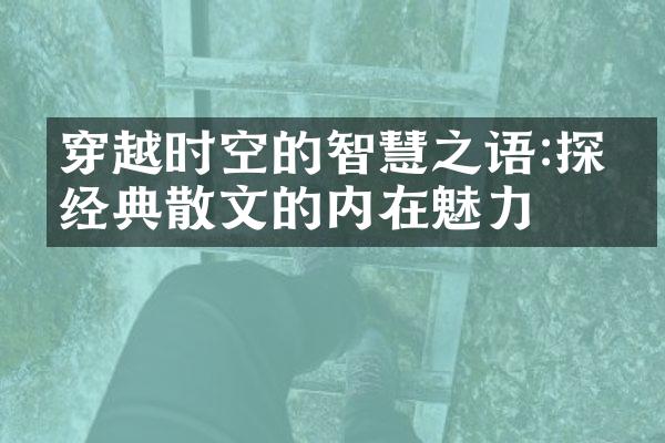 穿越时空的智慧之语:探寻经典散文的内在魅力
