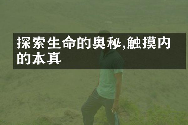 探索生命的奥秘,触摸内心的本真