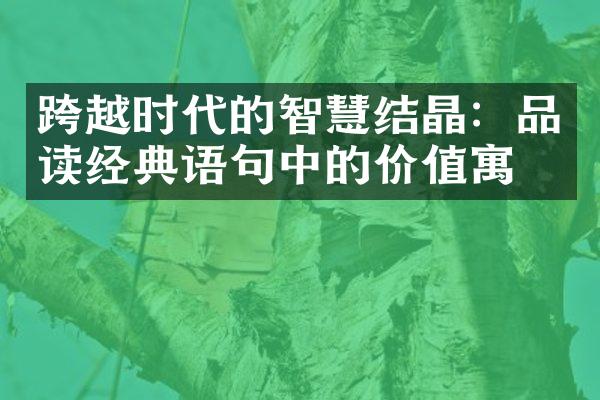 跨越时代的智慧结晶：品读经典语句中的价值寓意