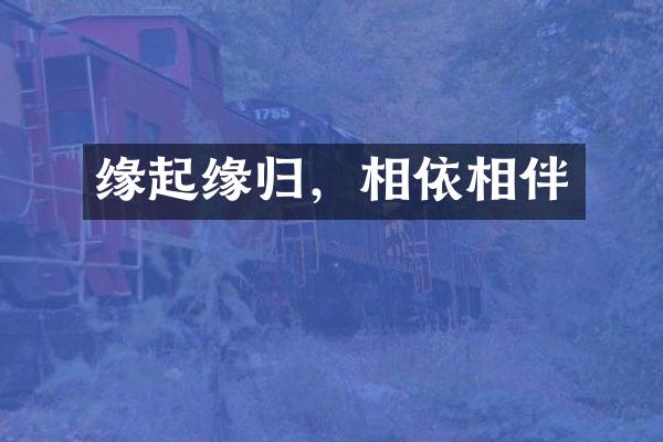 缘起缘归，相依相伴