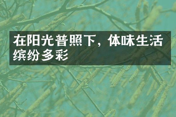 在阳光普照下, 体味生活的缤纷多彩