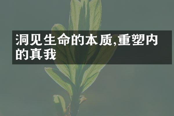洞见生命的本质,重塑内心的真我