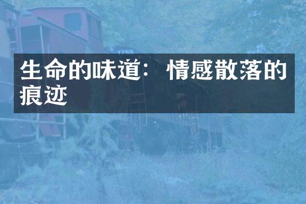 生命的味道：情感散落的痕迹