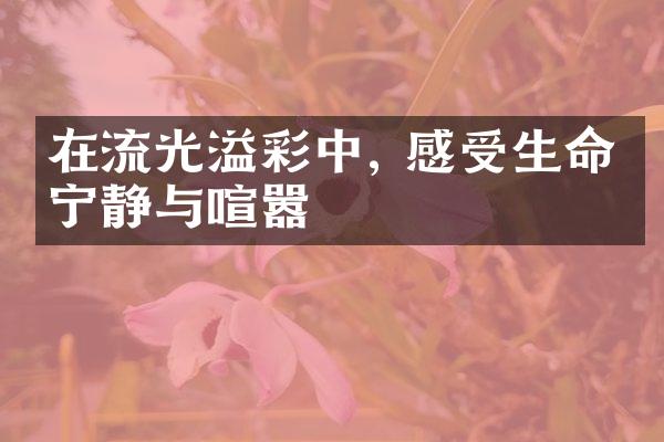 在流光溢彩中, 感受生命的宁静与喧嚣