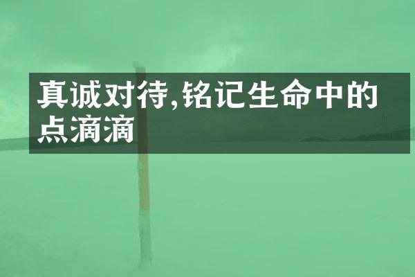 真诚对待,铭记生命中的点点滴滴