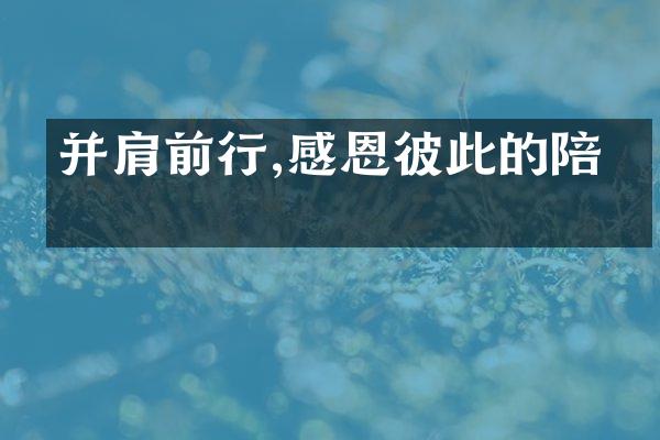 并肩前行,感恩彼此的陪伴