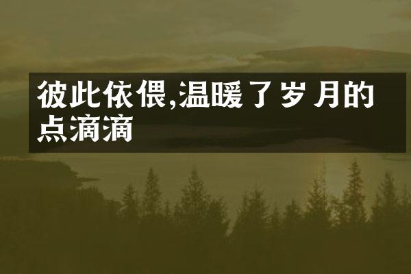 彼此依偎,温暖了岁月的点点滴滴