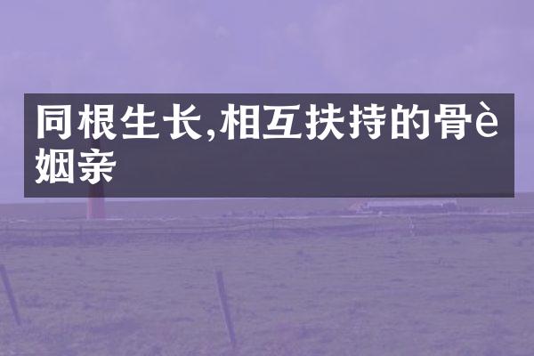 同根生长,相互扶持的骨肉姻亲