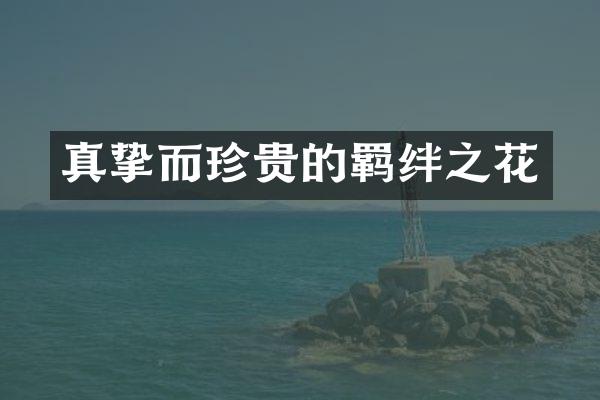 真挚而珍贵的羁绊之花