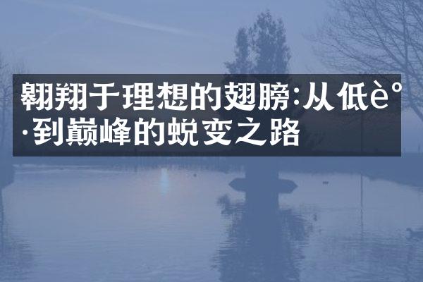 翱翔于理想的翅膀:从低谷到巅峰的蜕变之路