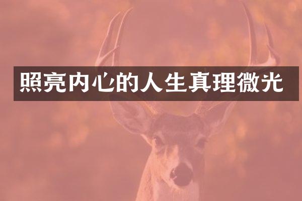 照亮内心的人生真理微光