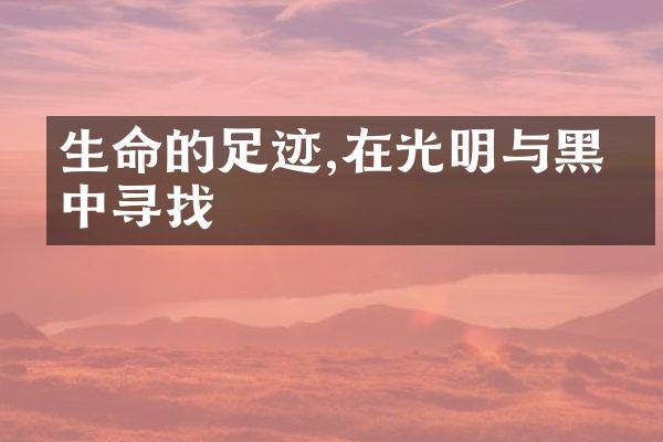 生命的足迹,在光明与黑暗中寻找