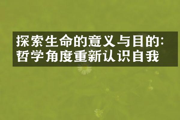 探索生命的意义与目的:从哲学角度重新认识自我