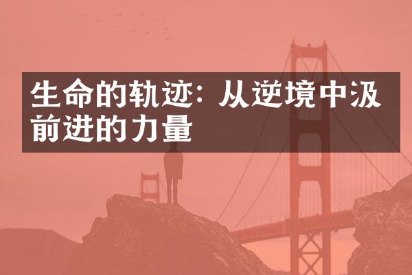 生命的轨迹: 从逆境中汲取前进的力量