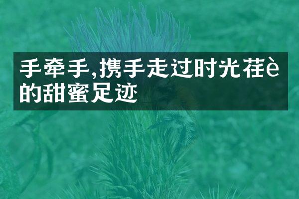 手牵手,携手走过时光荏苒的甜蜜足迹