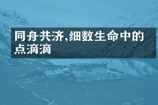 同舟共济,细数生命中的点点滴滴