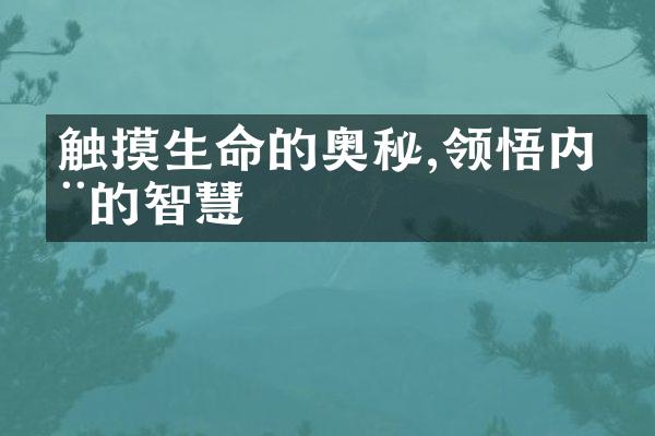 触摸生命的奥秘,领悟内在的智慧