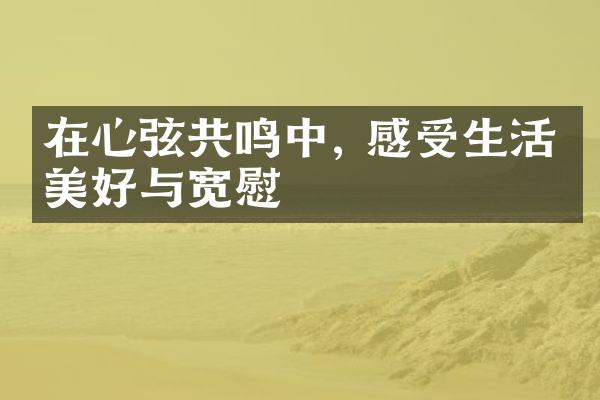 在心弦共鸣中, 感受生活的美好与宽慰