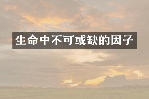 生命中不可或缺的因子