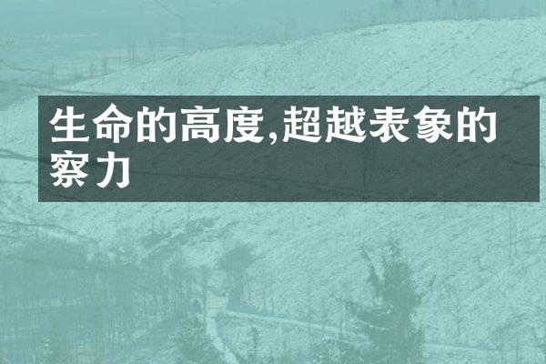 生命的高度,超越表象的洞察力
