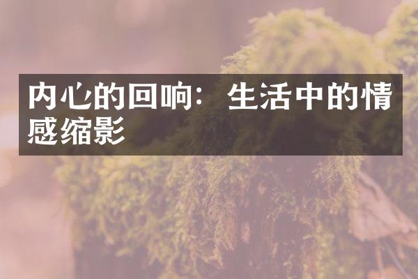 内心的回响：生活中的情感缩影