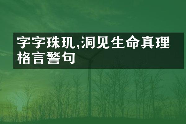 字字珠玑,洞见生命真理的格言警句