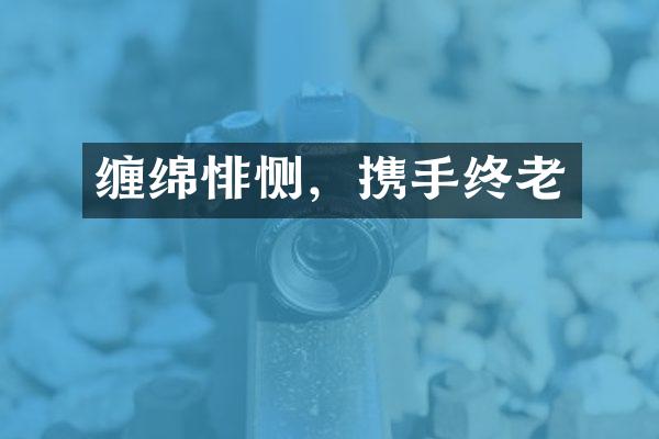 缠绵悱恻，携手终老