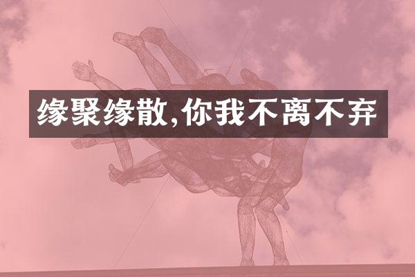 缘聚缘散,你我不离不弃