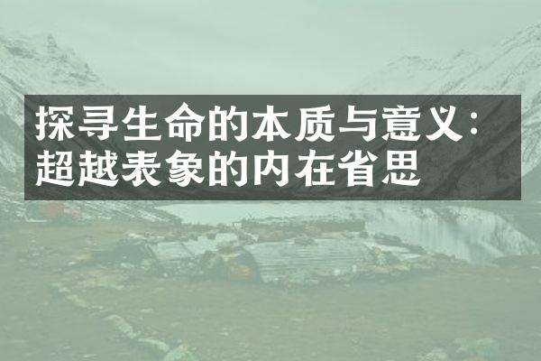 探寻生命的本质与意义：超越表象的内在思