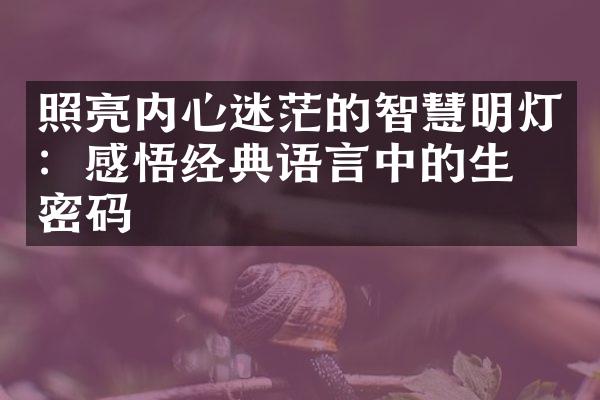 照亮内心迷茫的智慧明灯：感悟经典语言中的生命密码