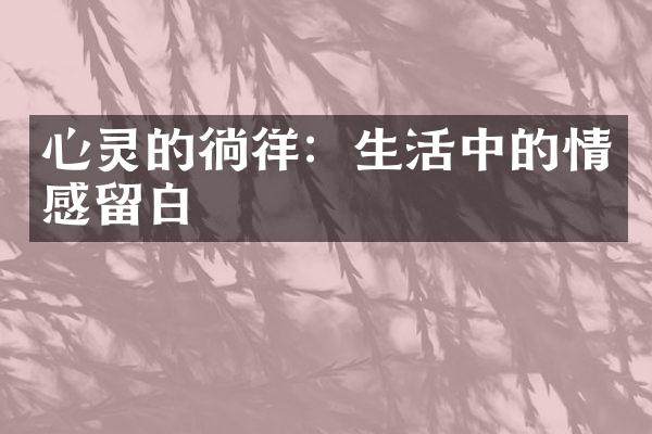 心灵的徜徉：生活中的情感留白