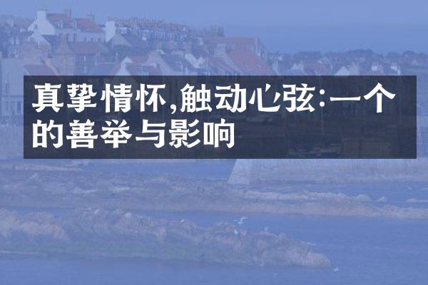 真挚情怀,触动心弦:一个人的善举与影响