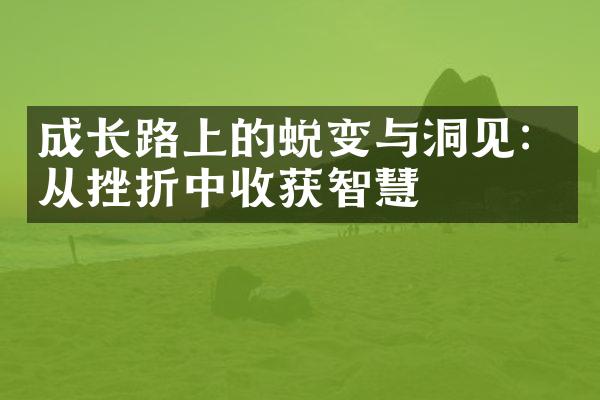 成长路上的蜕变与洞见：从挫折中收获智慧