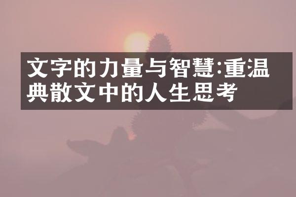 文字的力量与智慧:重温经典散文中的人生思考